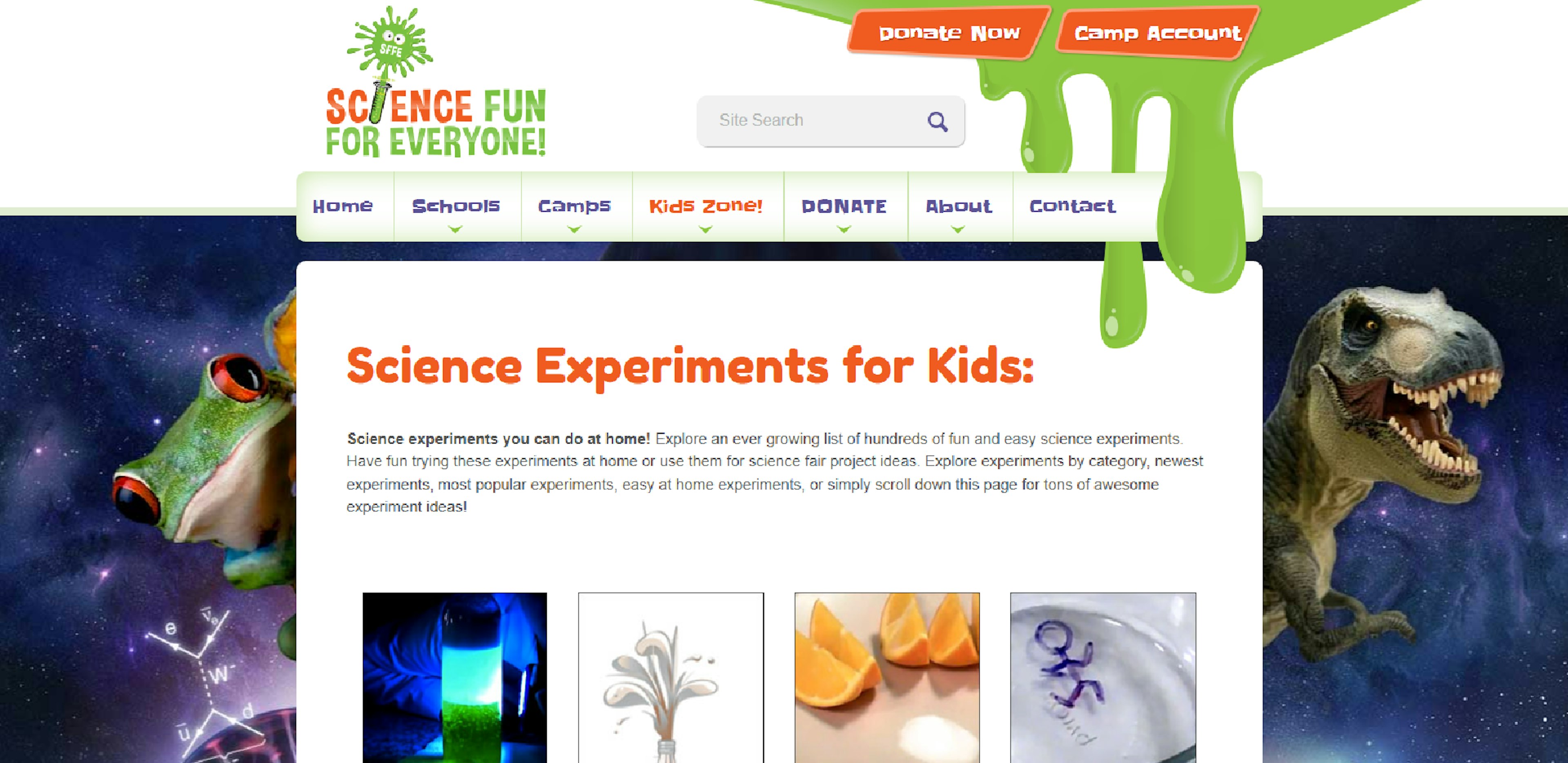 Science Fun for Everyone