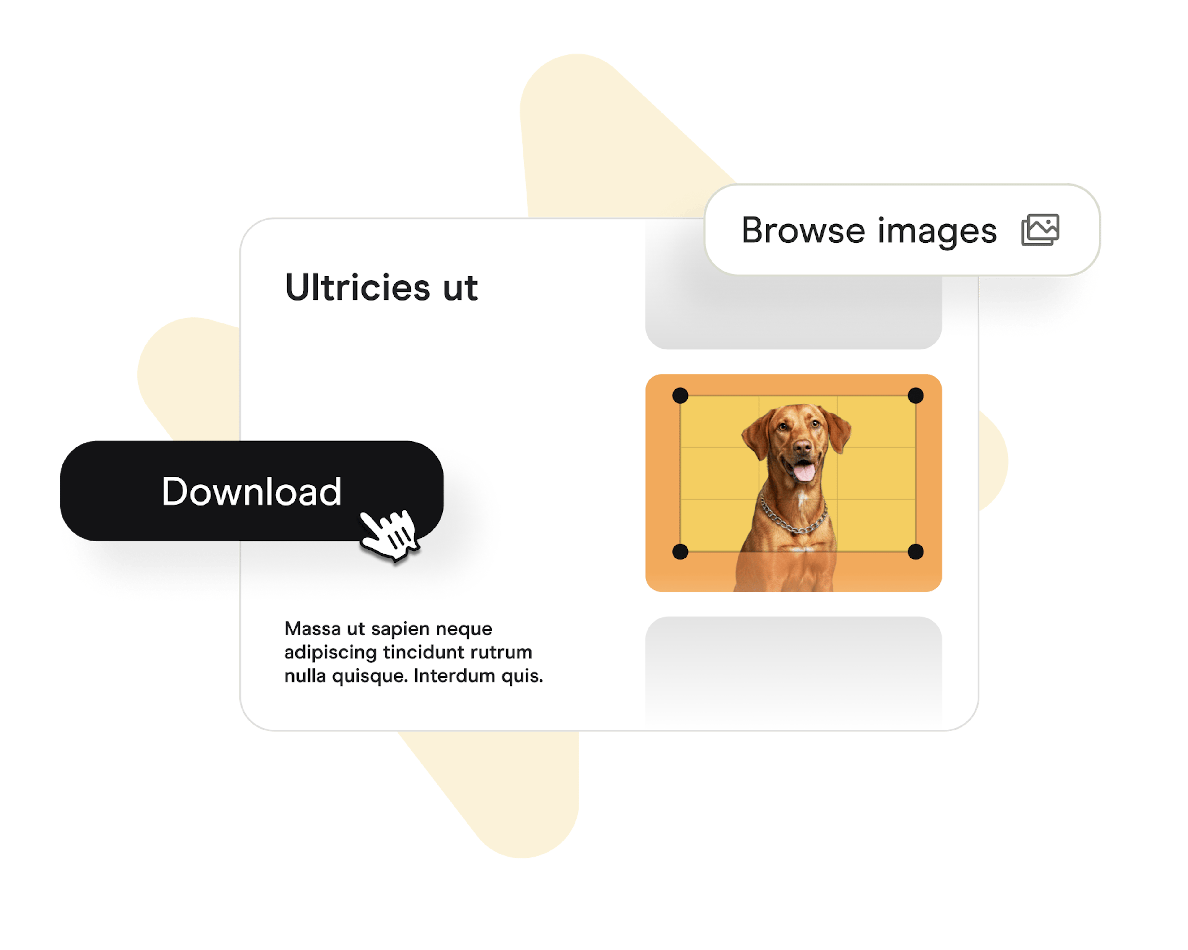 Image Cropper Tutorial